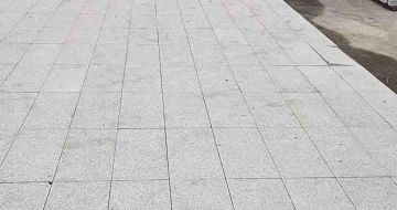 山南芝麻白地铺案例