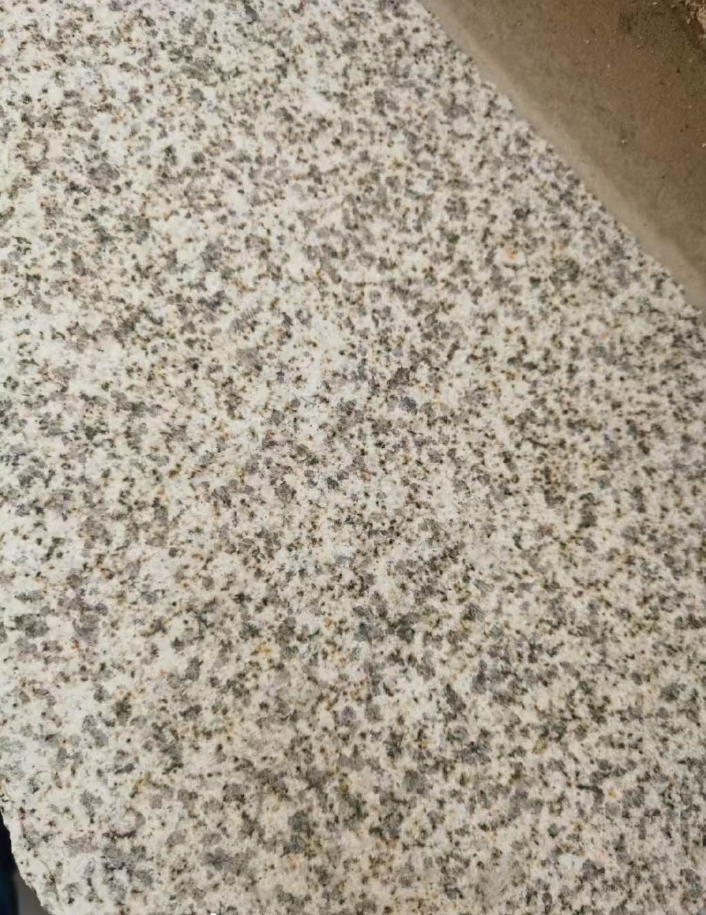 山南 黄金麻中黄光面