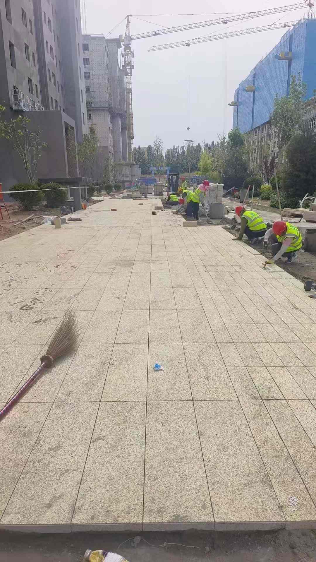 山南黄金麻荔枝面地铺案例